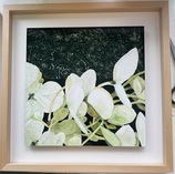 This World / Aquarell und Acryl auf/hinter Glas / 40 x 40 cm (gerahmt)